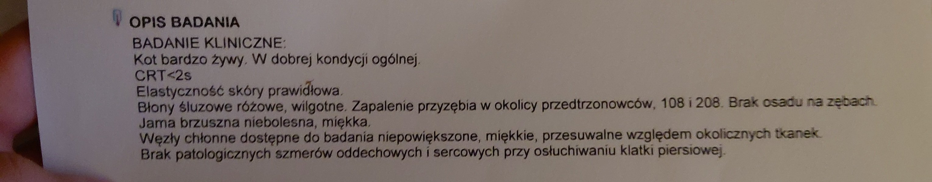 YFTFZbYtETZ31IHT.jpg