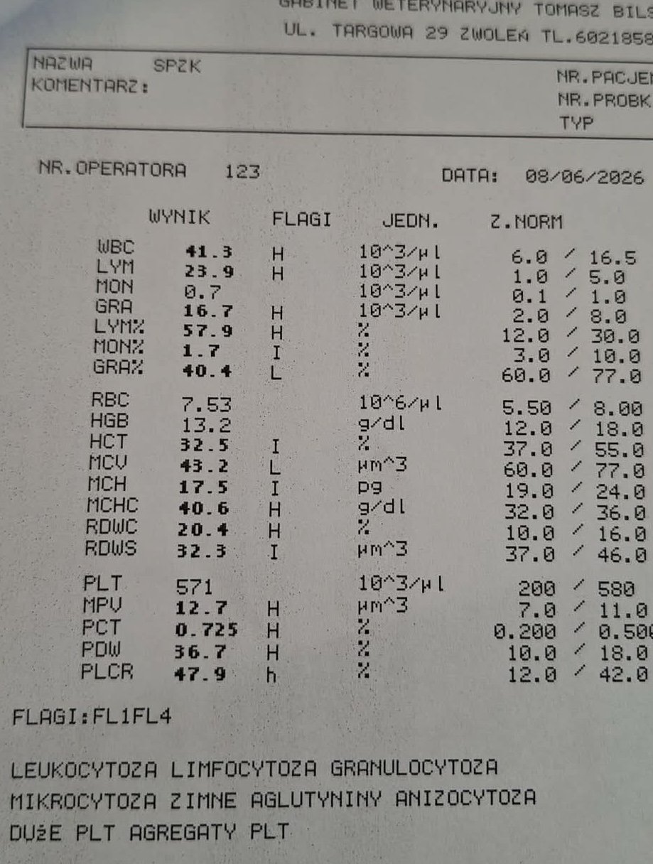 yl0jhB45TsgLUxun.jpg