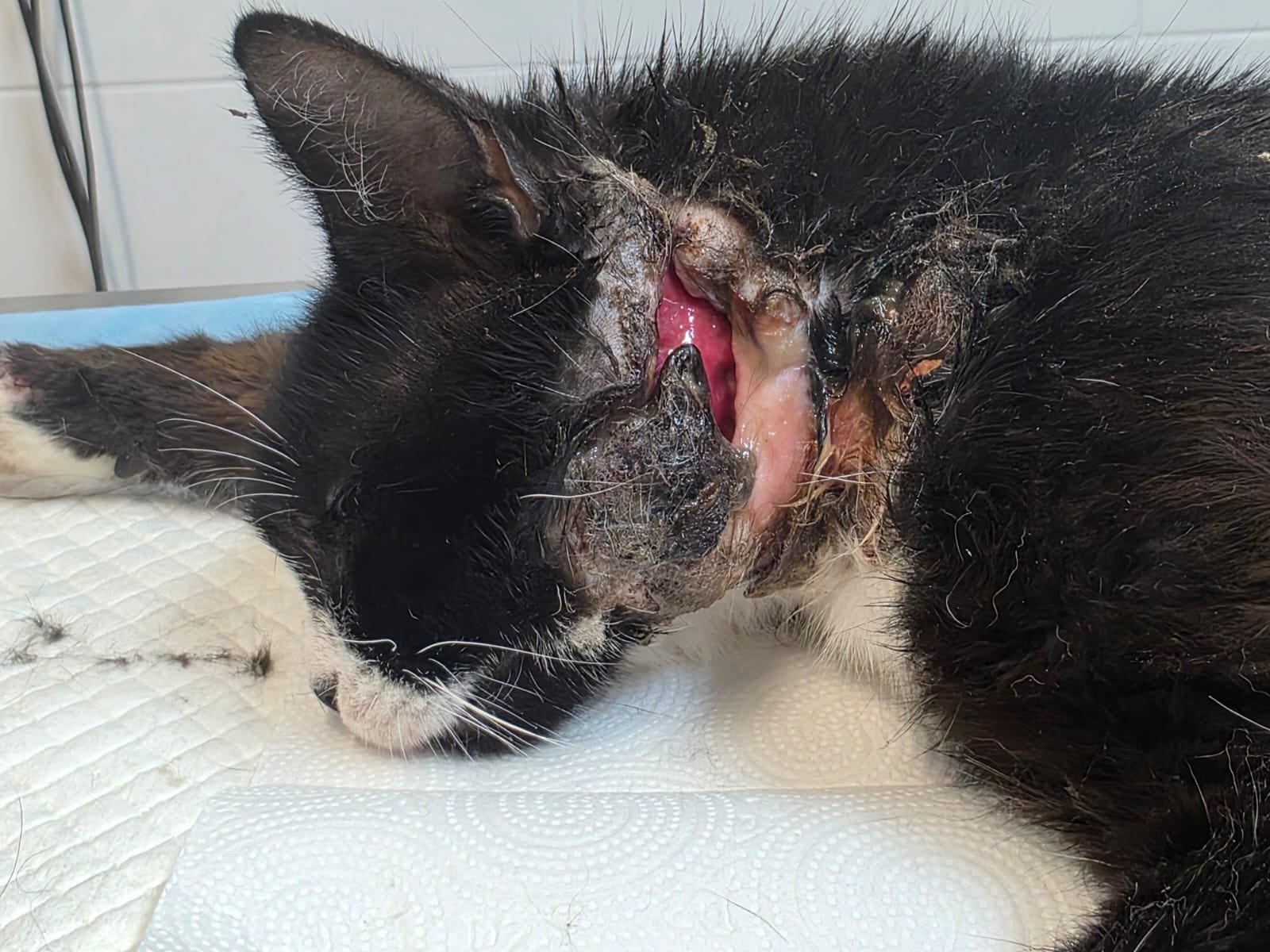 JCwYmgQLdRUJUeoN.jpg