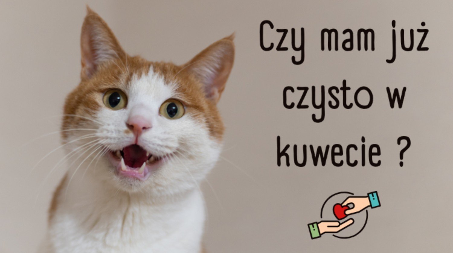 zwierzęta