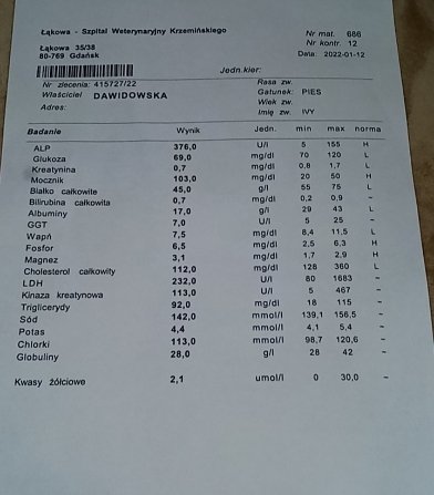 d2a08851f6ea642f.jpeg