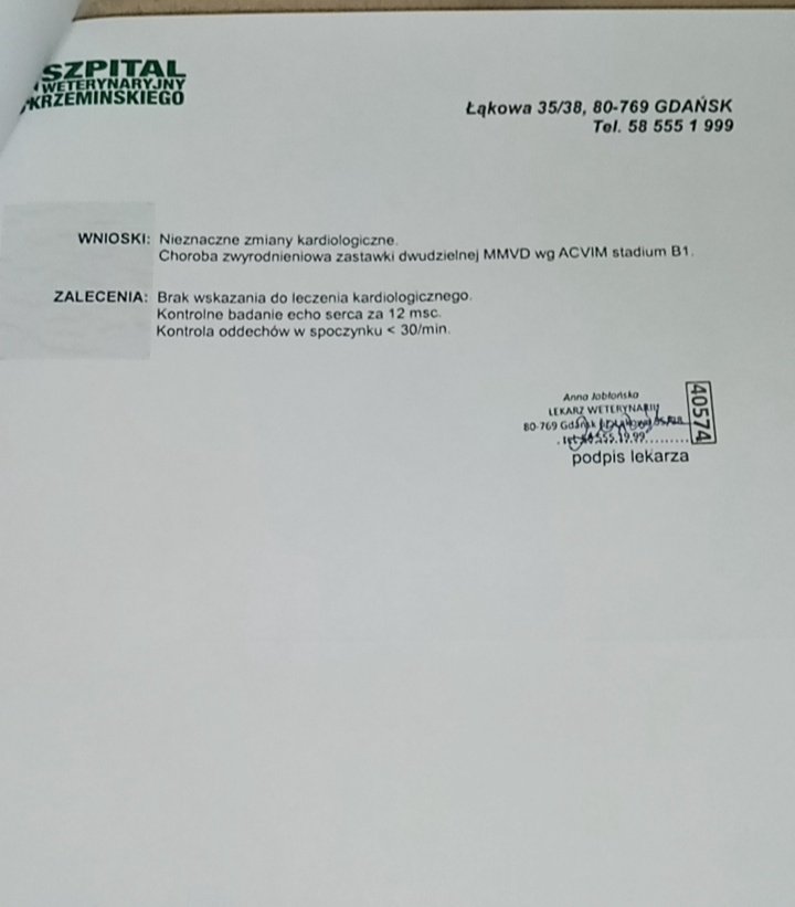d81892b3c7548038.jpeg