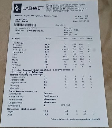 lc8324fa561b4c98.jpeg