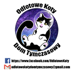 b0ca1ab16d987b9a.png