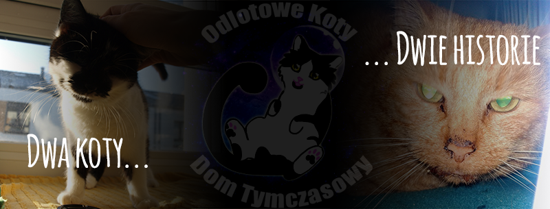 rf44a0f8955fb477.png