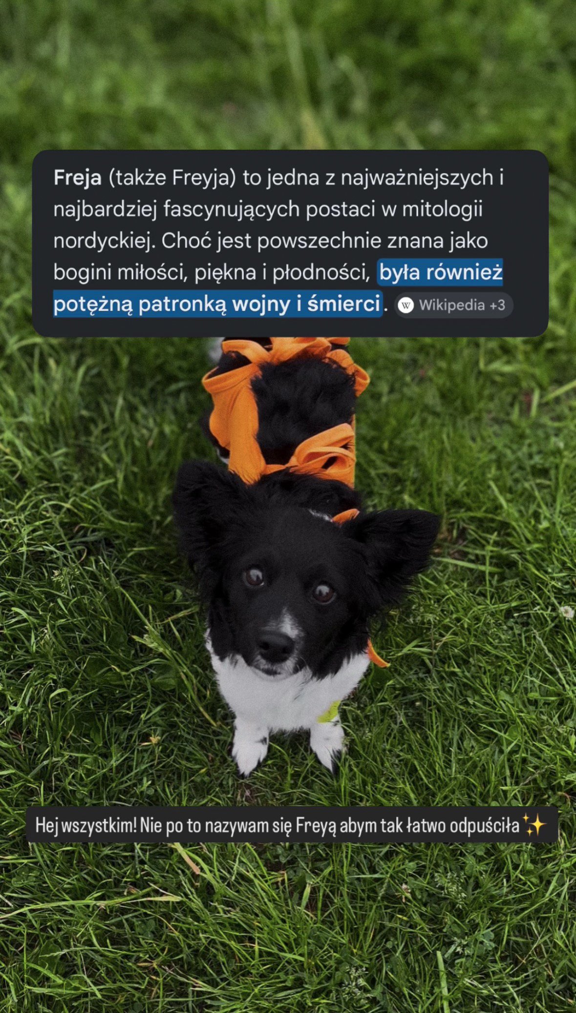 x97PKRzGwbYXxqZ0.jpg