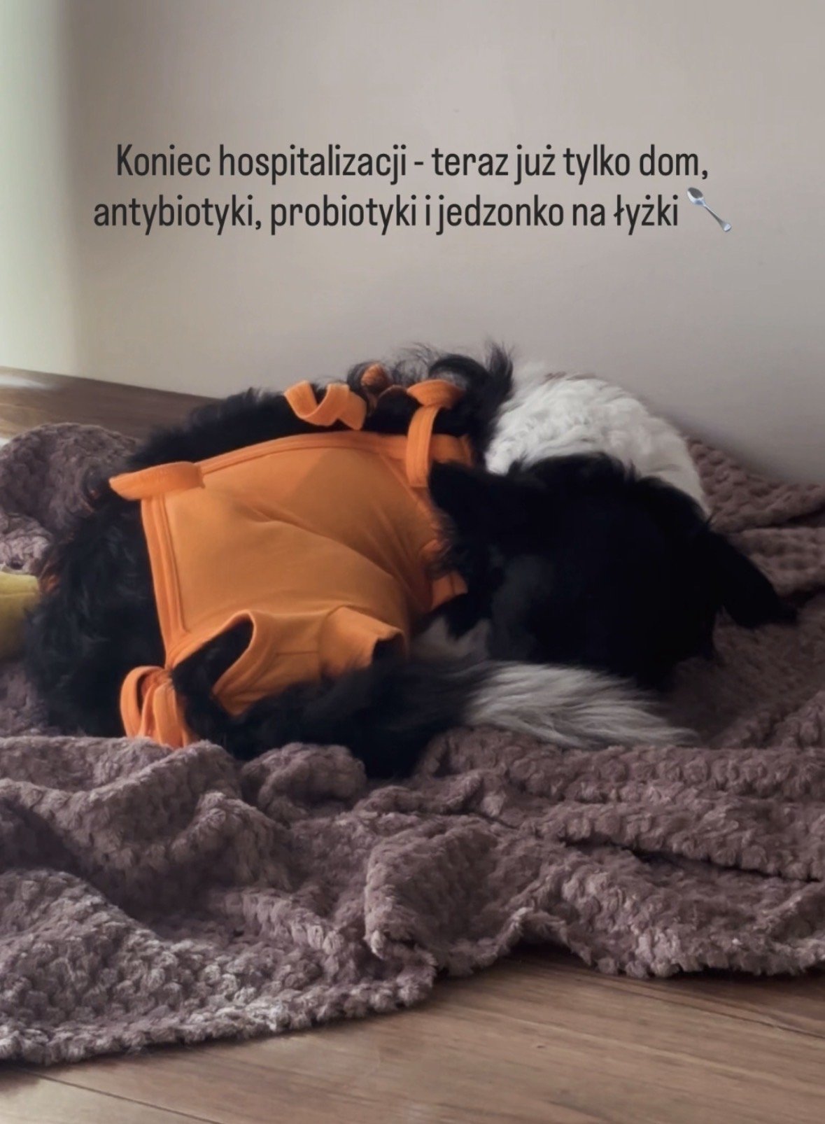 PCAAwFWrridLi1SL.jpg