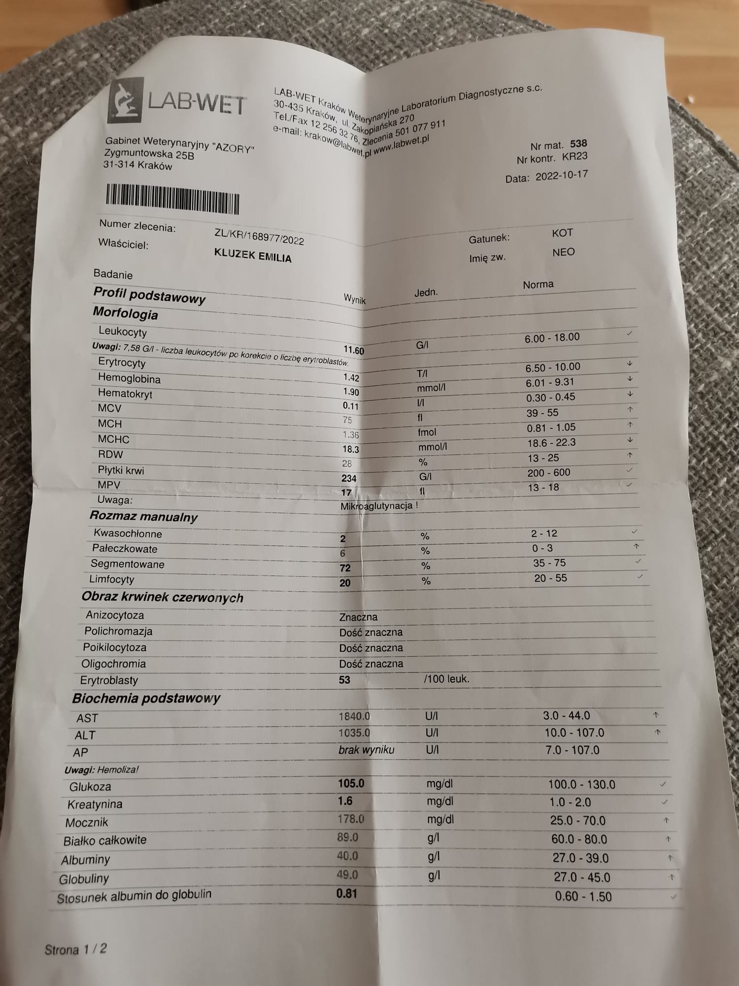f907e9b08aa0b075.jpg