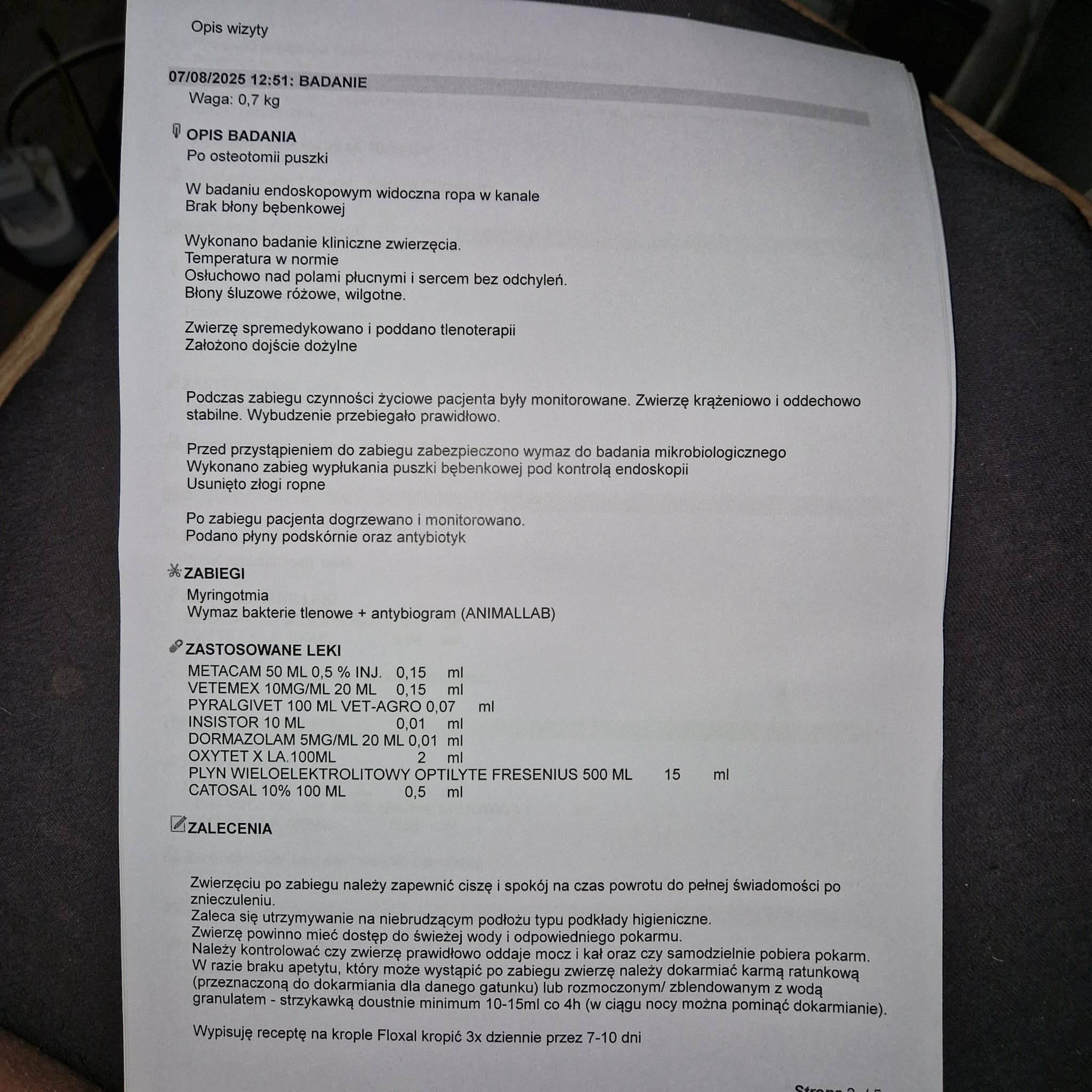 FVu8GFRIIhTyvJsK.jpg