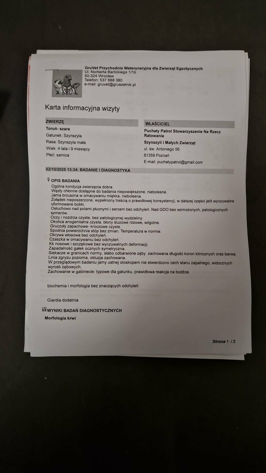 vECa4inSROlDihgW.jpg