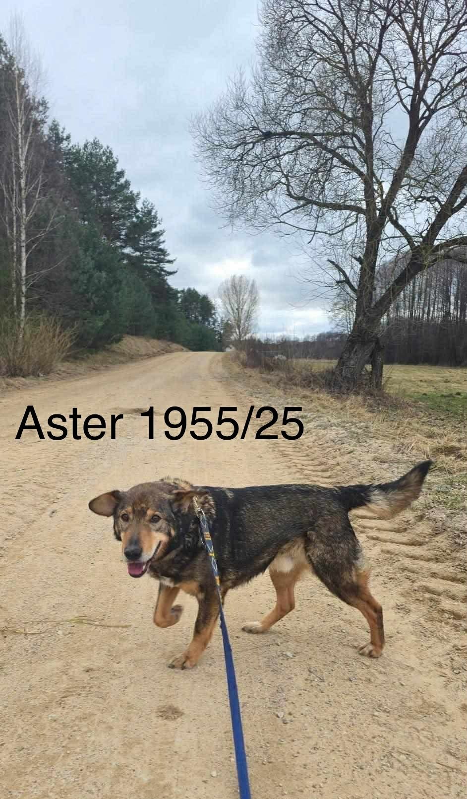 S9fE93LGK8DllAvo.jpg