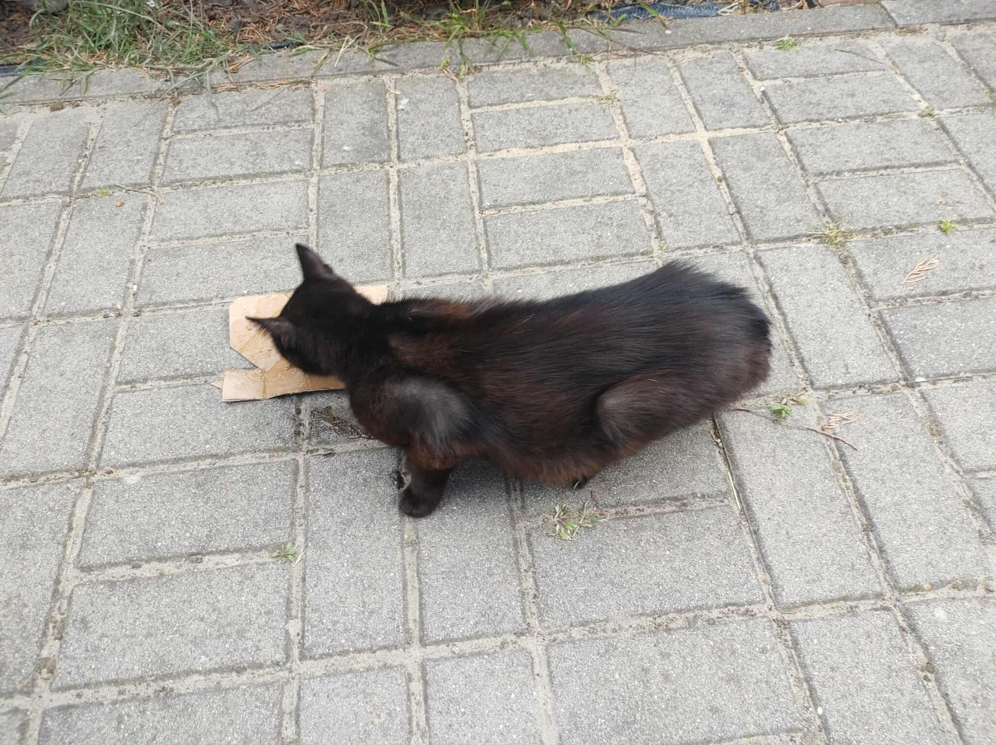 ZE3VekKQnOMpcUi9.jpg