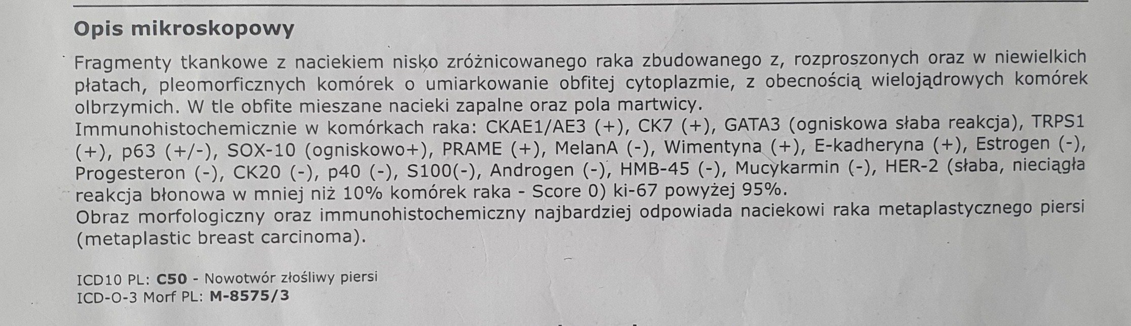 ygygjl0XcQeOPhCZ.jpg
