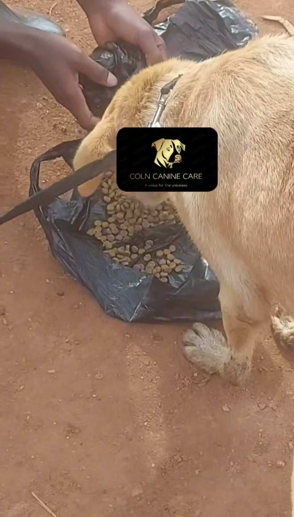 kvwrgPZfNxeZcJDb.jpg
