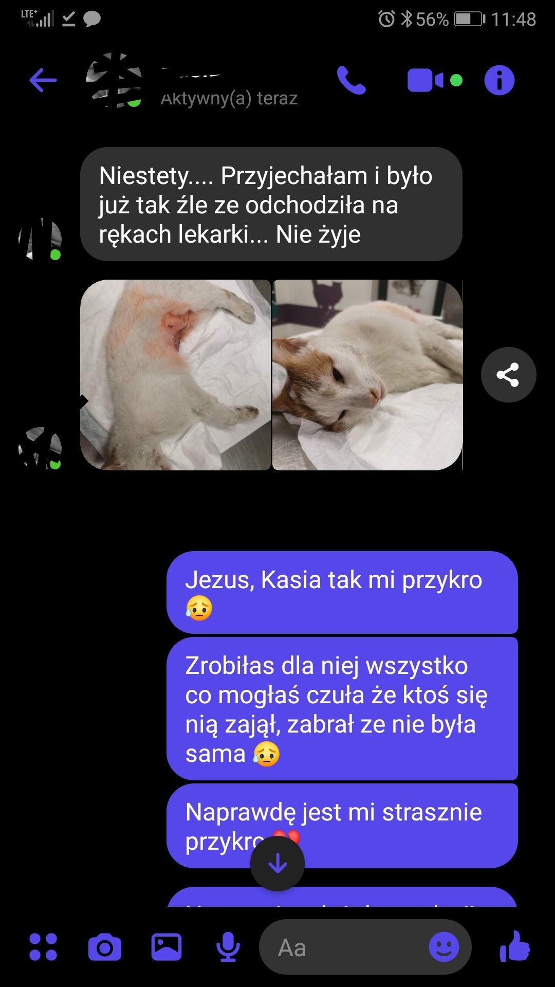 lbf5b96d263ac55c.jpeg