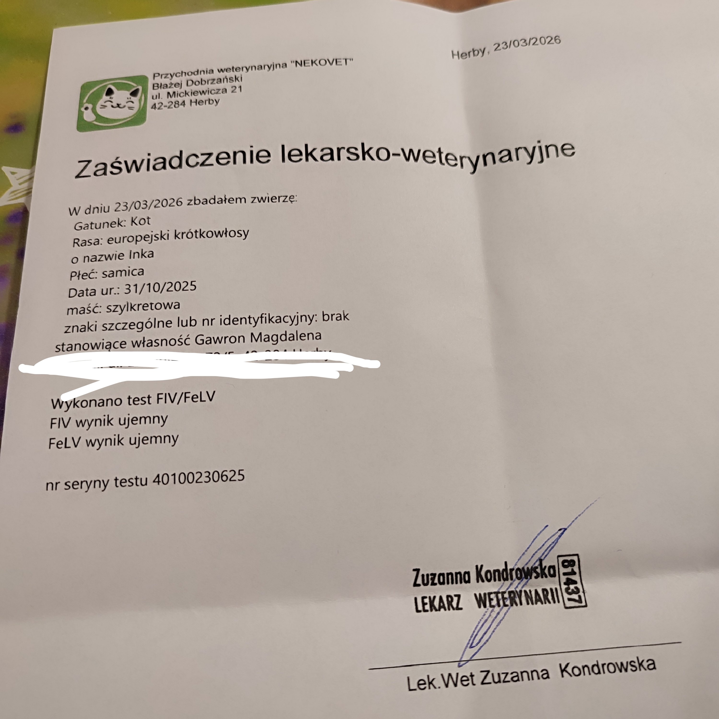 tLiTZFkbLrLZI4Ps.jpg