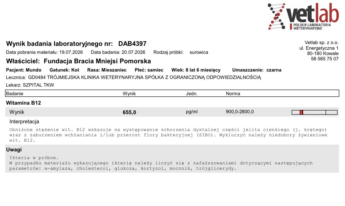 pNyUcO7dR6FGYeY9.jpg