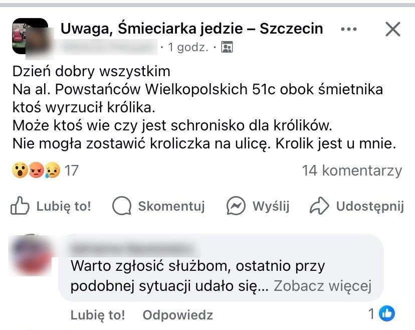 apyhPuGzJhM33QWH.jpg