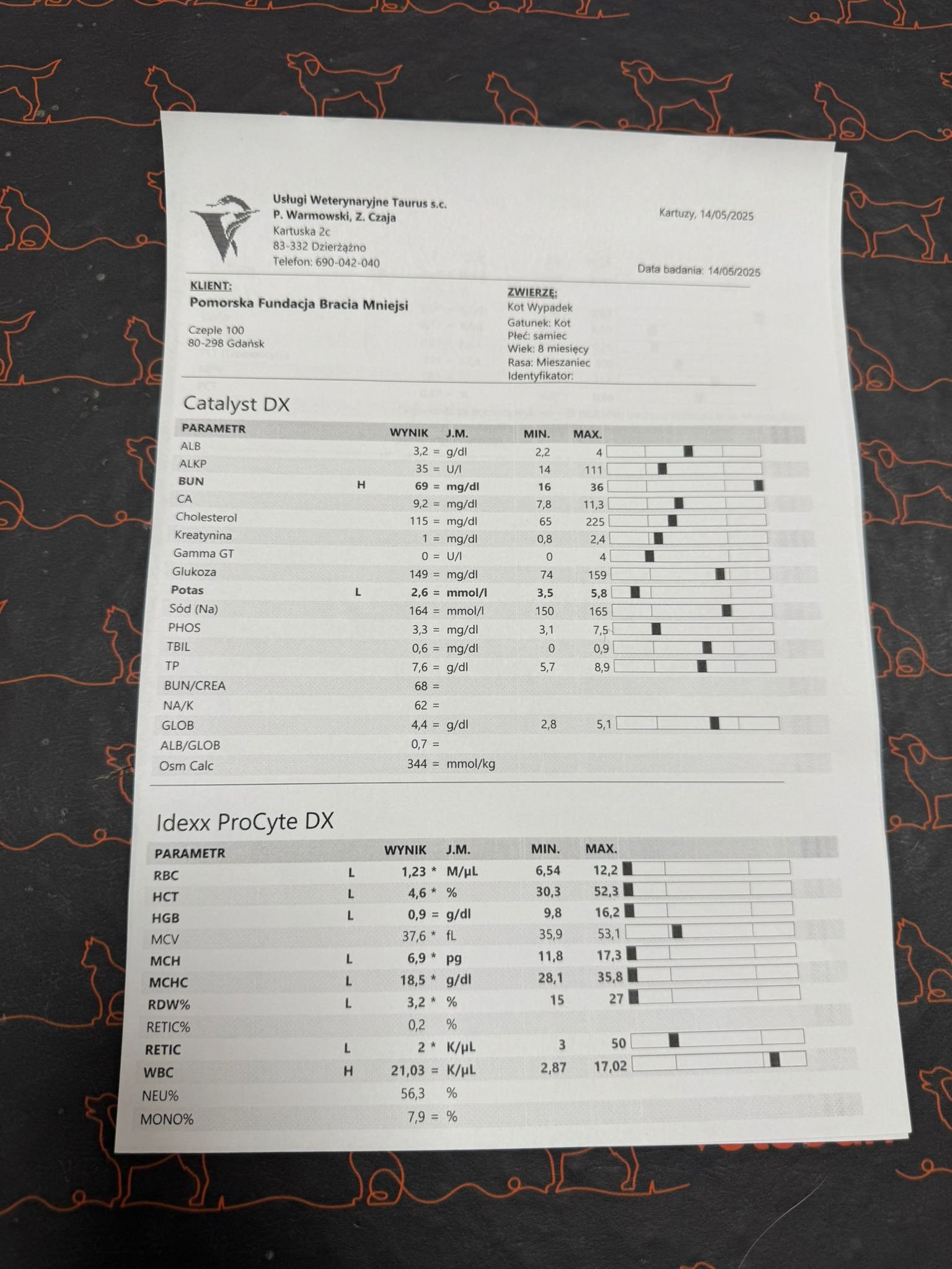 ck9YpqA5i3JPb0N6.jpg