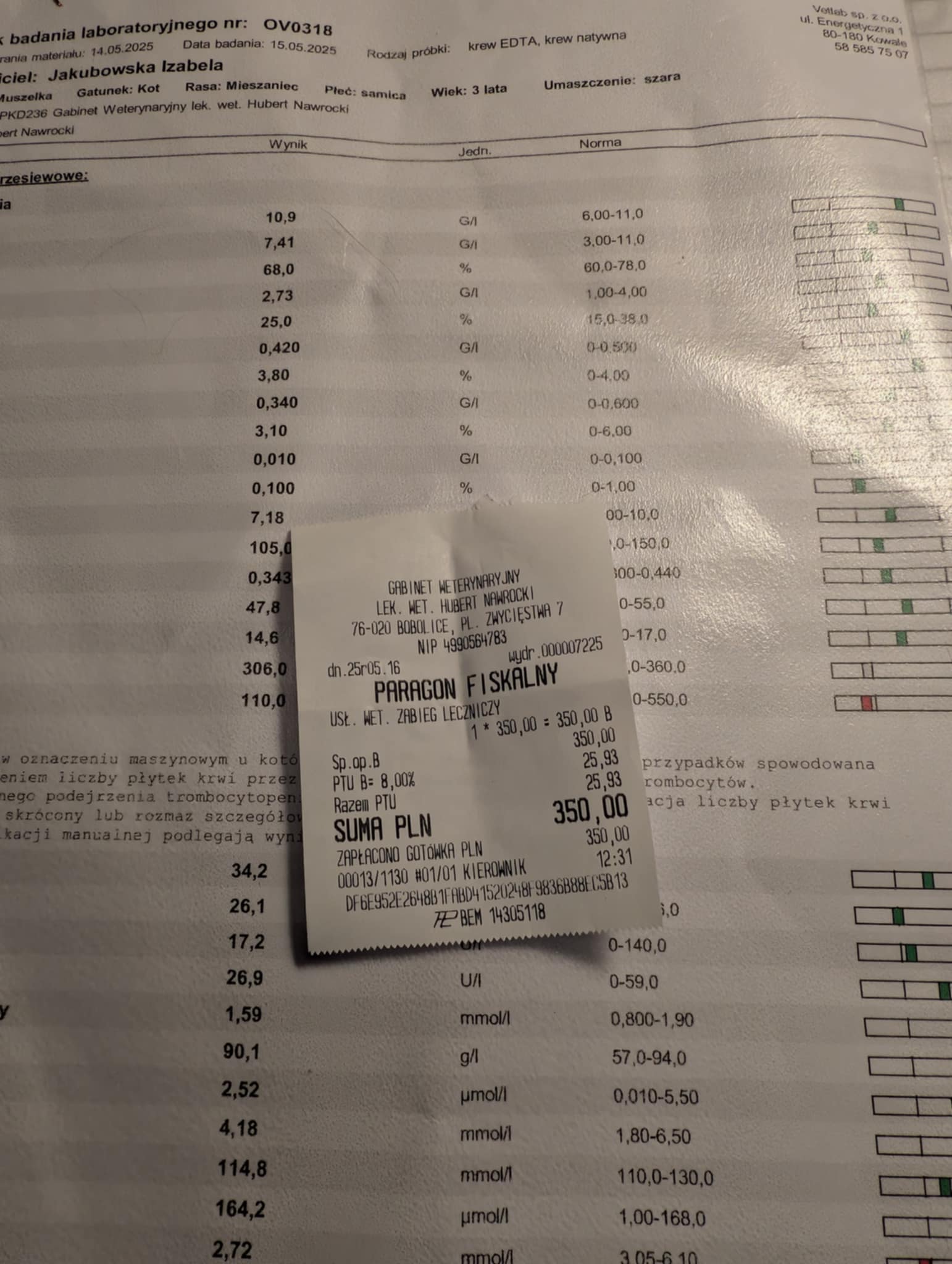 kByC4p5DPN0O95gt.jpg