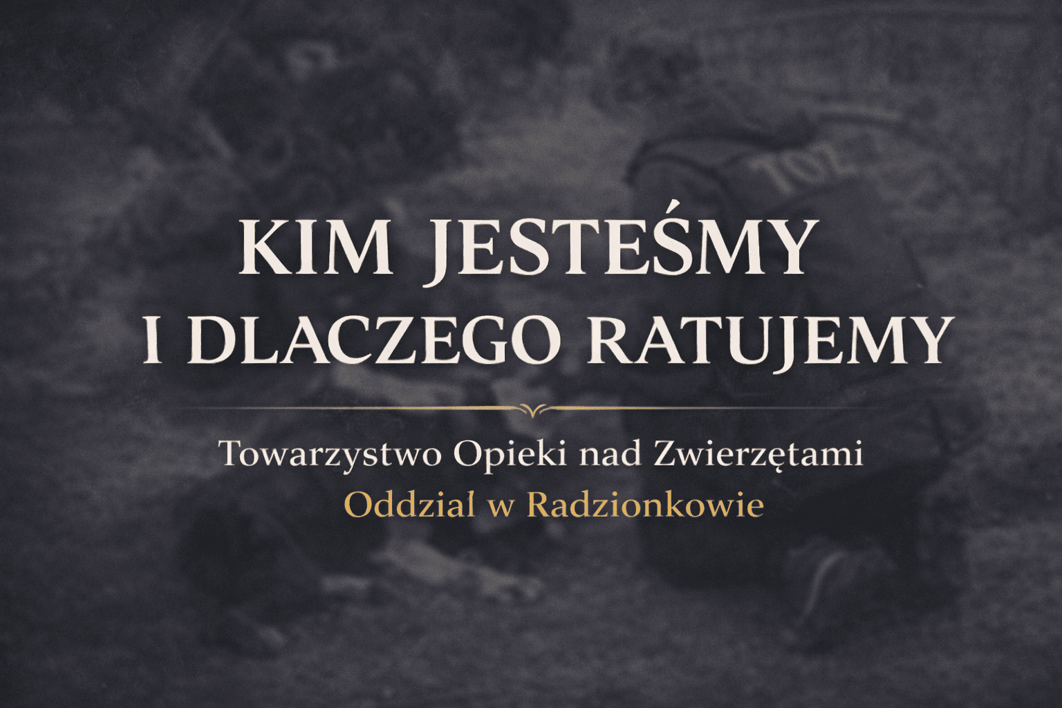 oZxUMWpd2ZiKhxzm.png