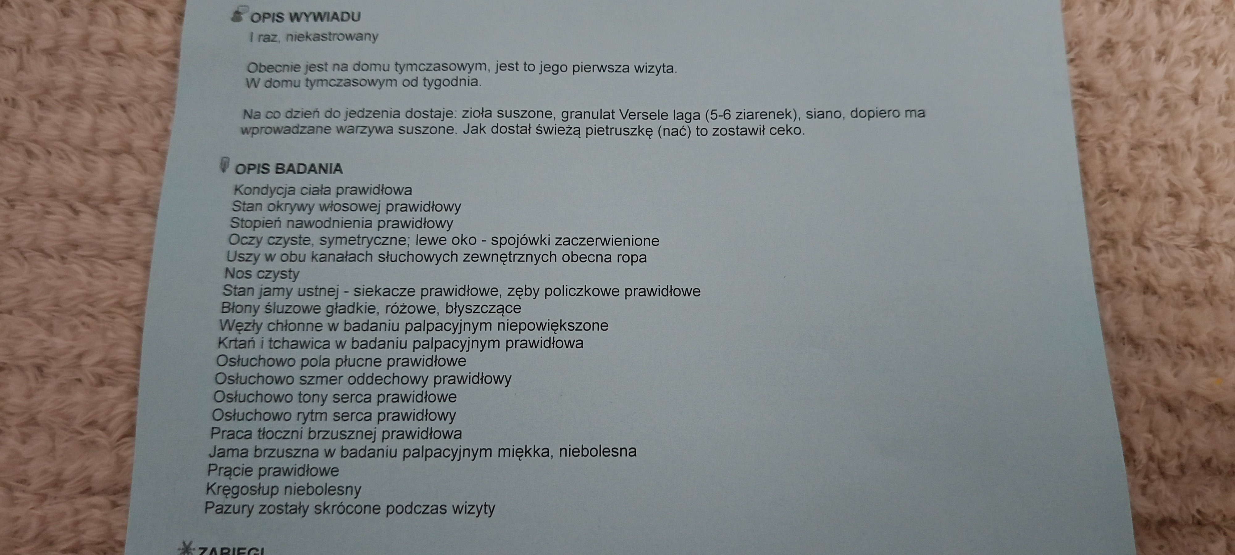 iSmOP5gS4MmVQ16I.jpg