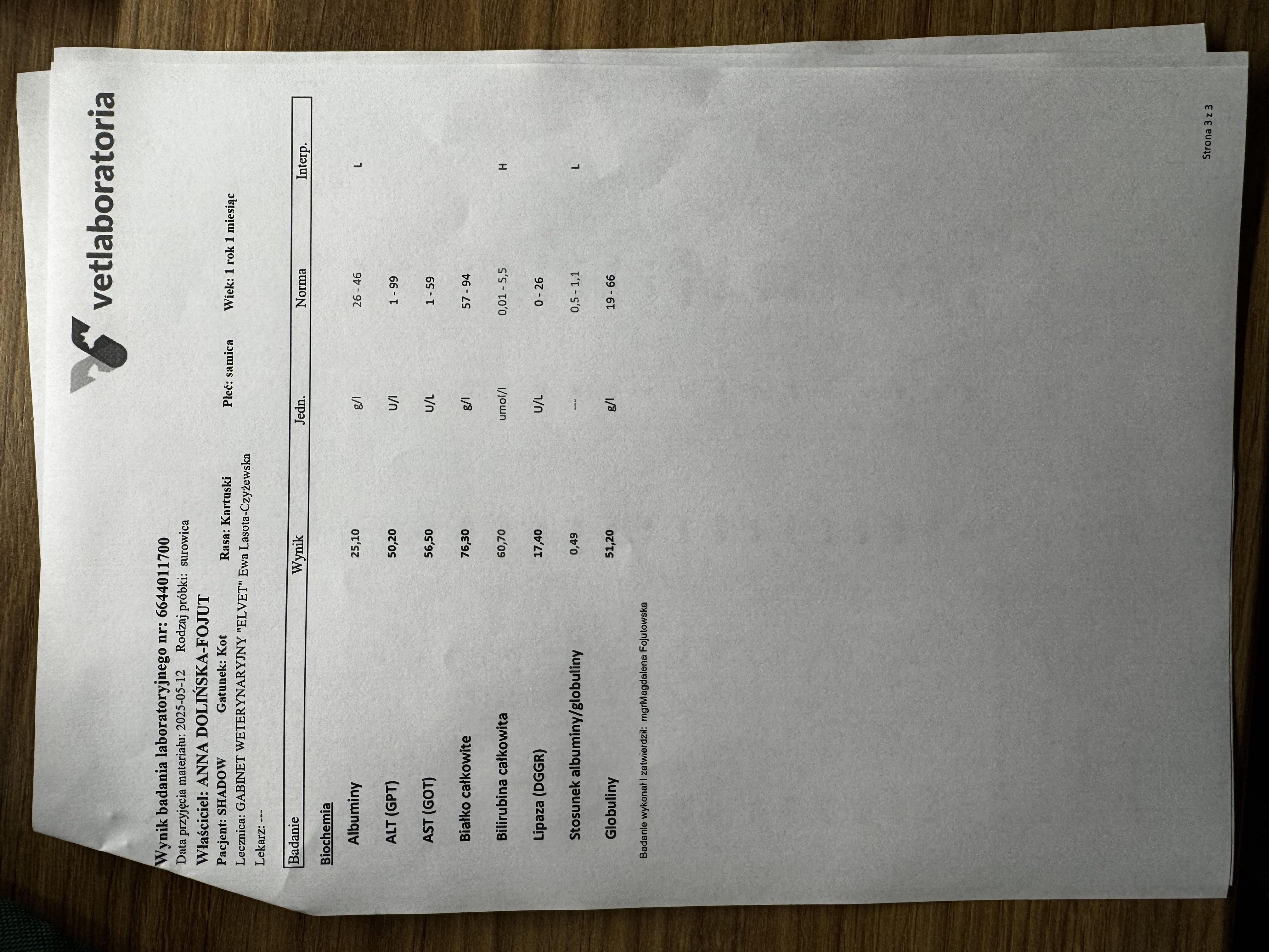 dtU3aePivnuPC5AG.jpg