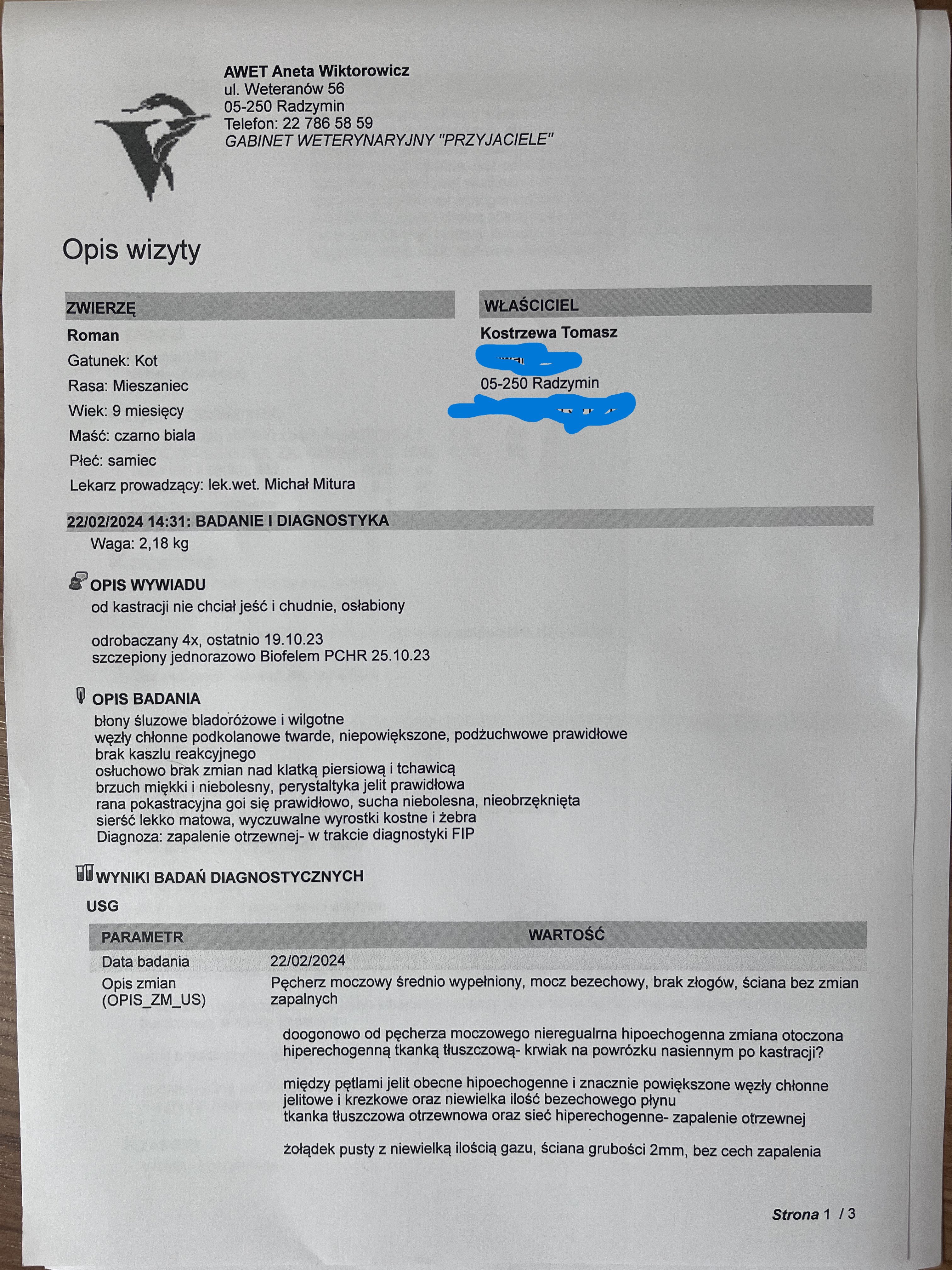 MJSx6iAeZEovM6LQ.jpg