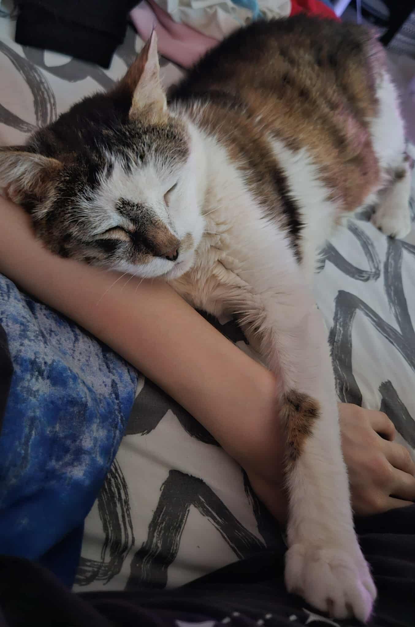 AAxUKEGtPTOt5kAt.jpg