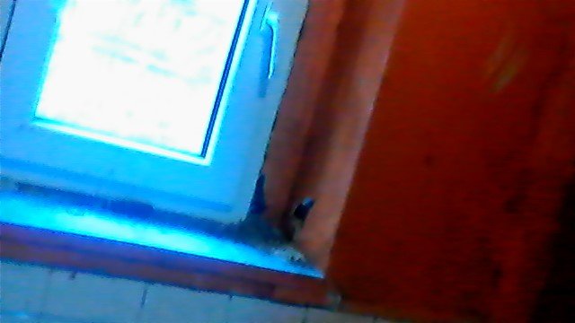 wa716616bfdc5704.jpeg