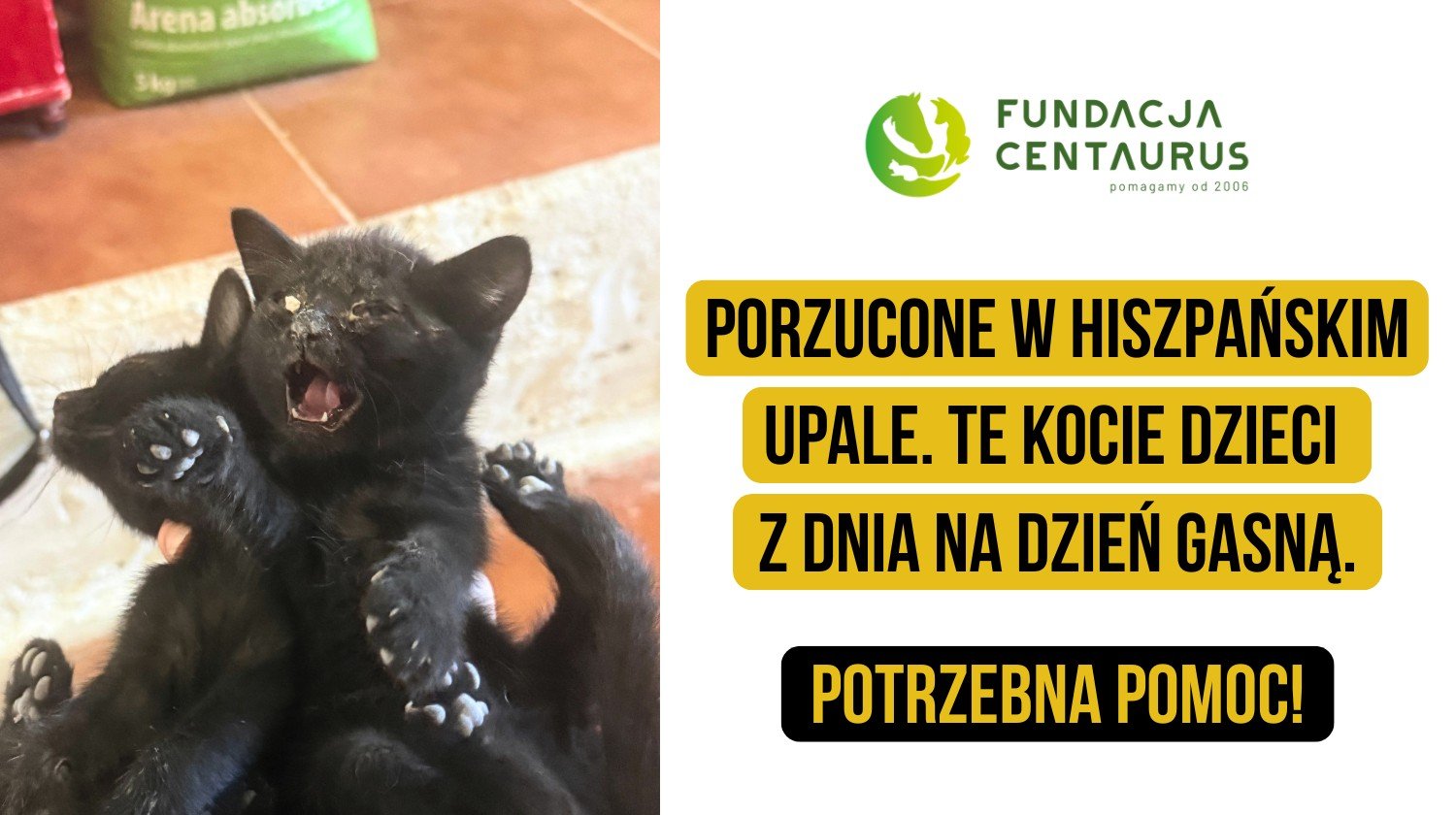 Zwierzęta
