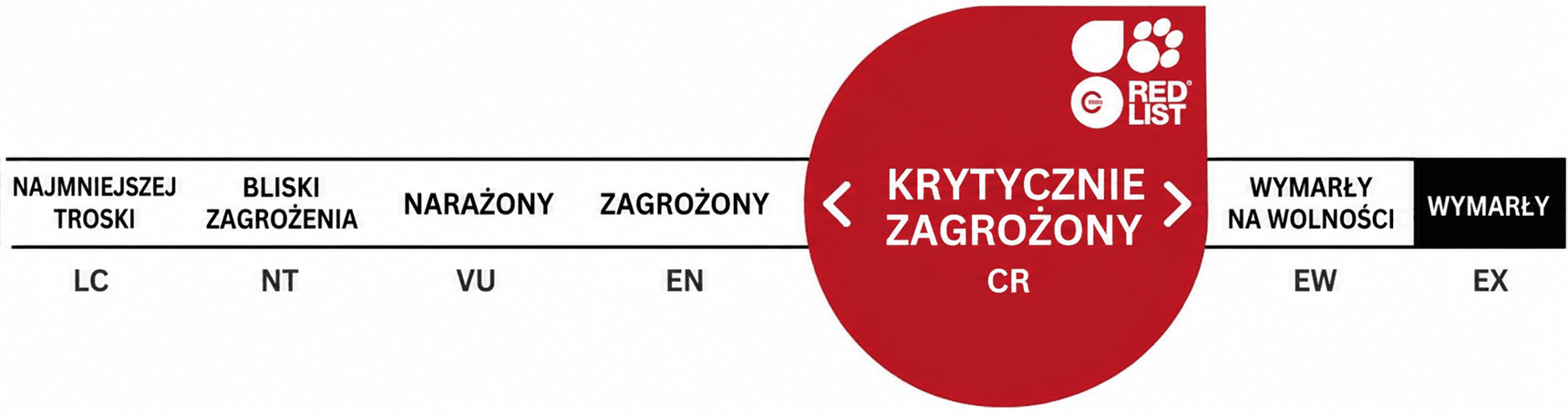 1vZrYR1c7ofgKpb4.png