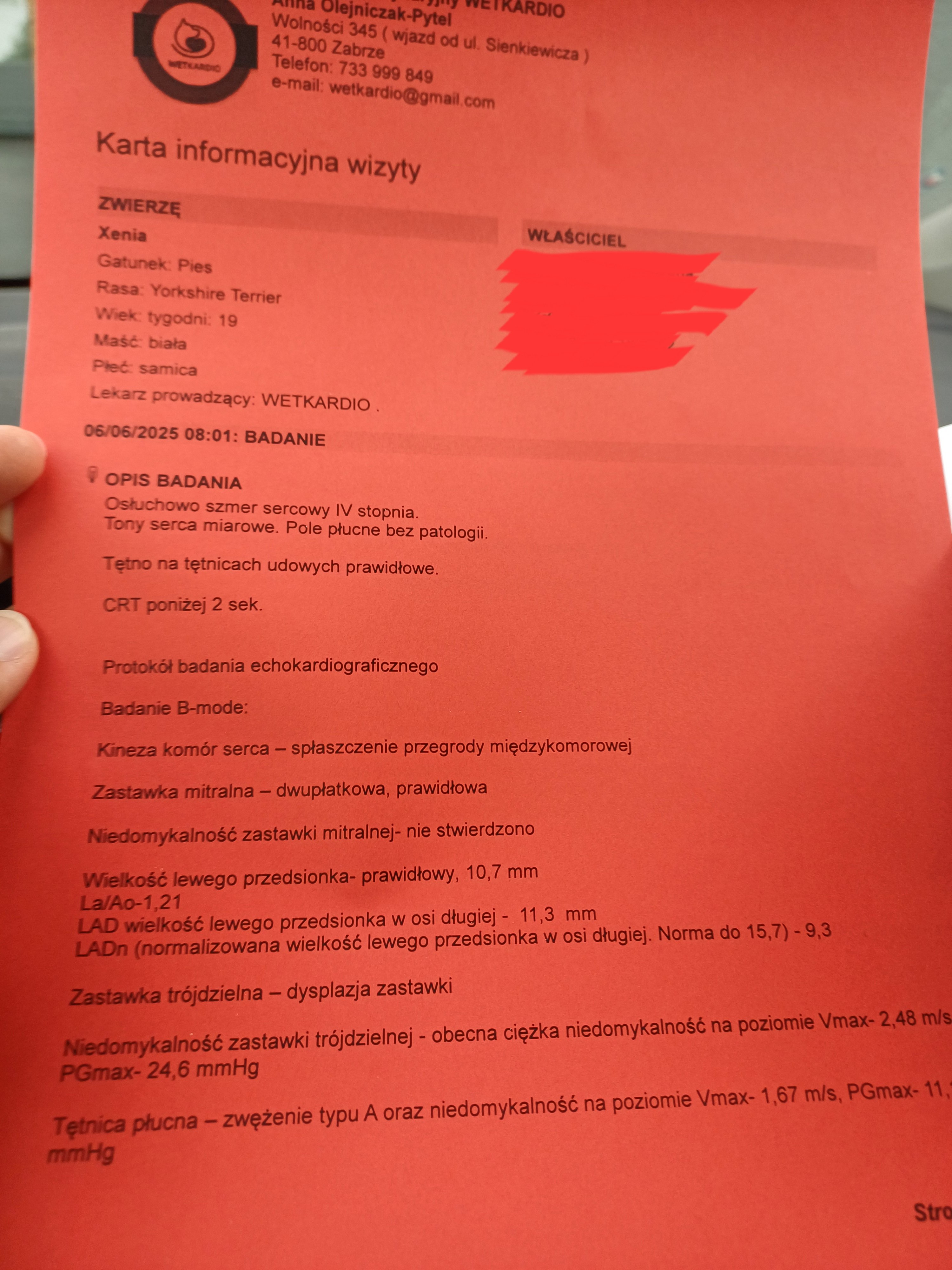 3qBm1BCybU5NrK5e.jpg