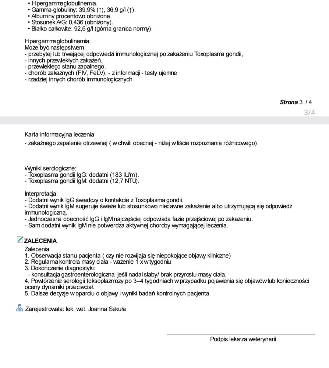 nUF6sEfKh98oaFVG.jpg