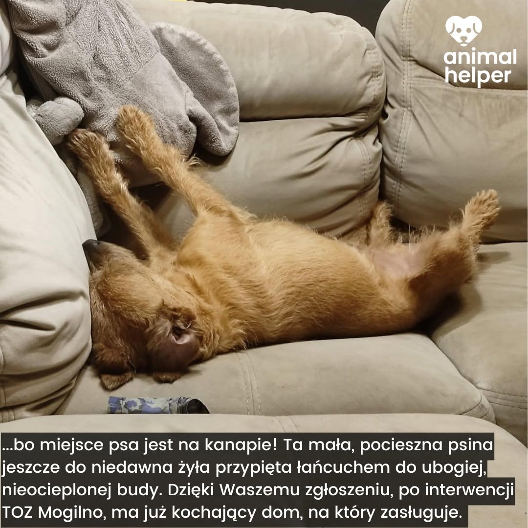 ClXC11VzVyfjBIkJ.jpg