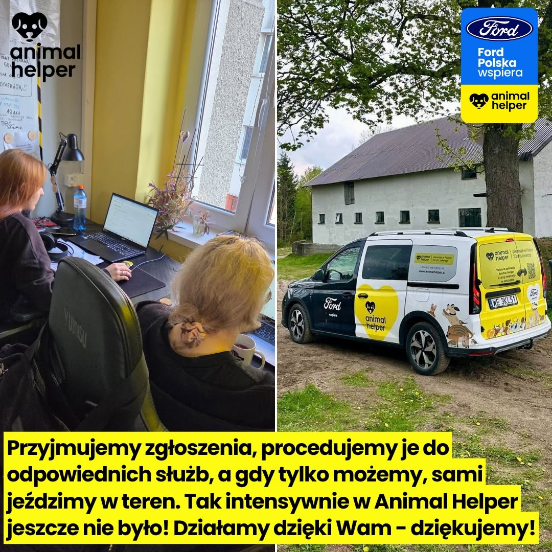 ZoZETWmM62MapjtU.jpg