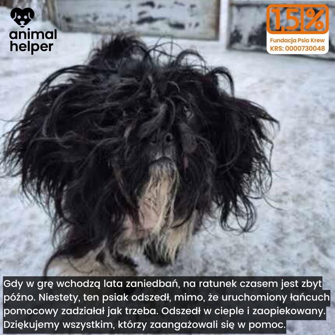uIl185WzeyqMaVGg.jpg