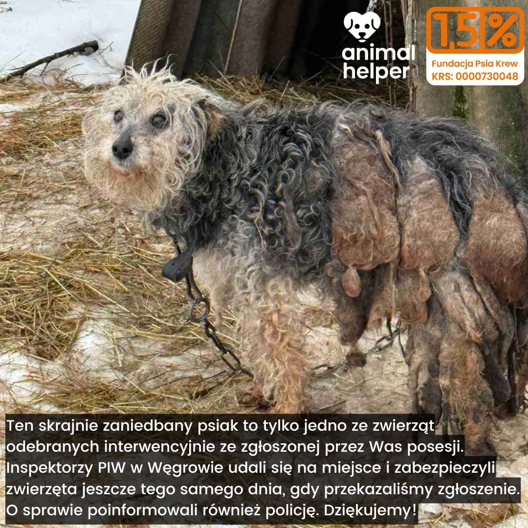 ytS9KifkiUOyI62Q.jpg