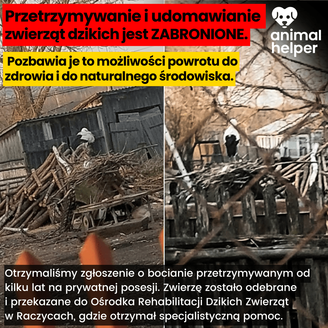 Id0Dm6erjXOqol3e.png