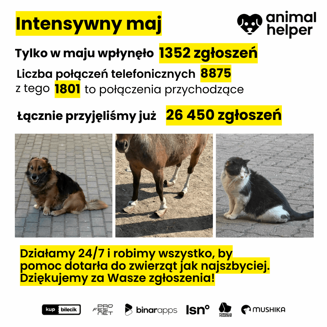TbYXf4LTWoR5bzwF.png