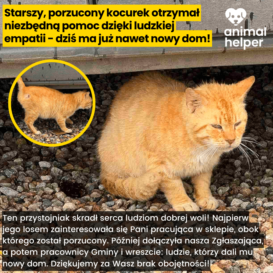 UjcWJacabUO2bGyY.png