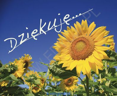 W Podziękowaniu Otrzymujesz