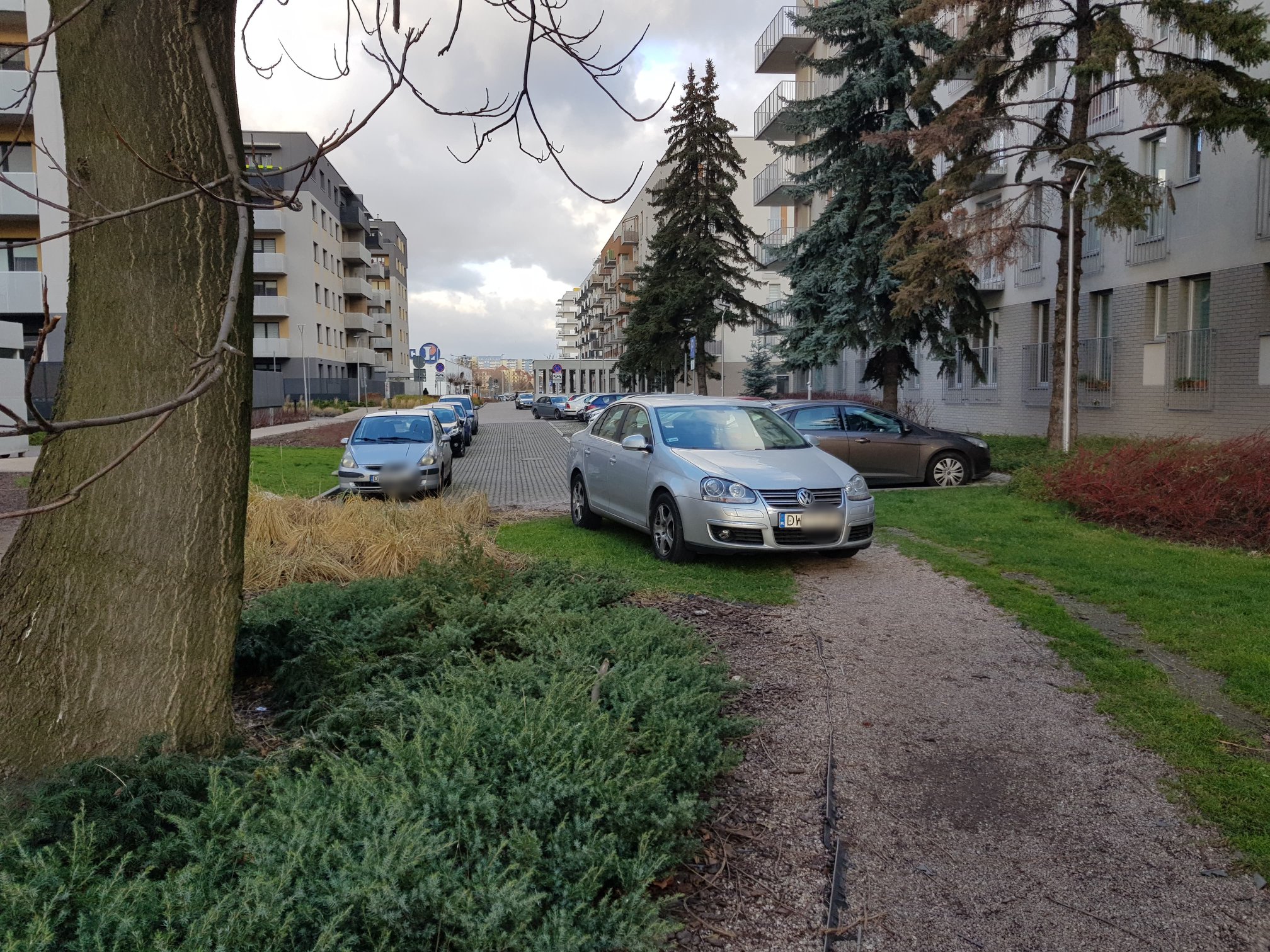 a0014a6737d1236f.jpeg