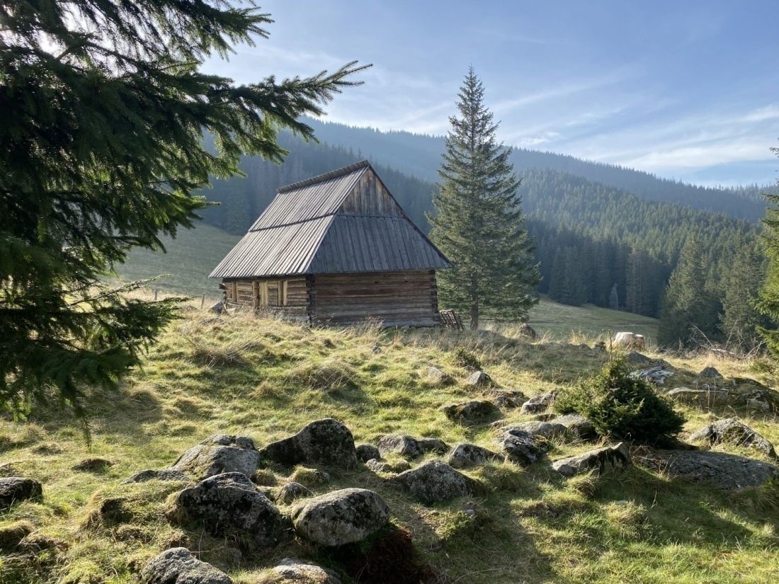 Na Wkład Własny Na Mieszkanie Zrzutkapl 5856