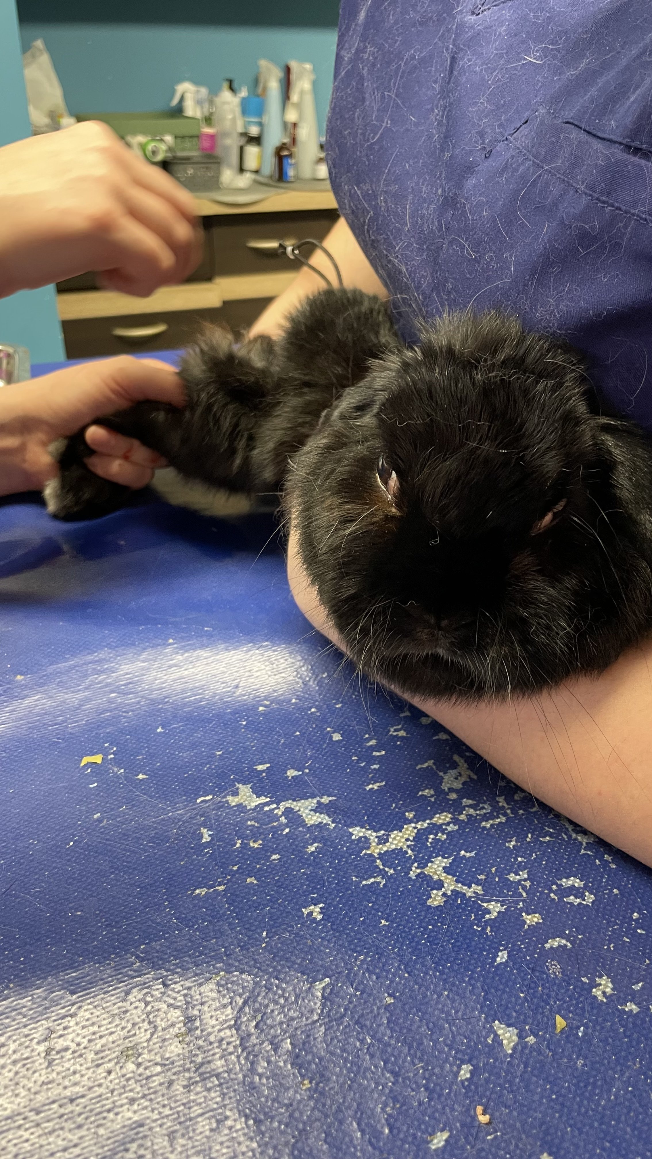 h0xynT11yVYq5Dv8.jpg