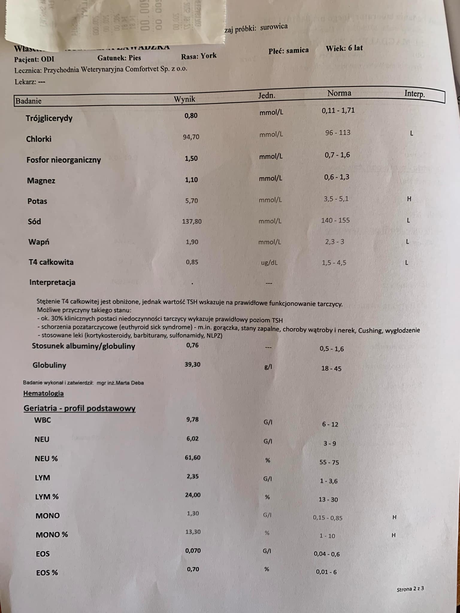 7j99pOZHuhgSJZTD.jpg
