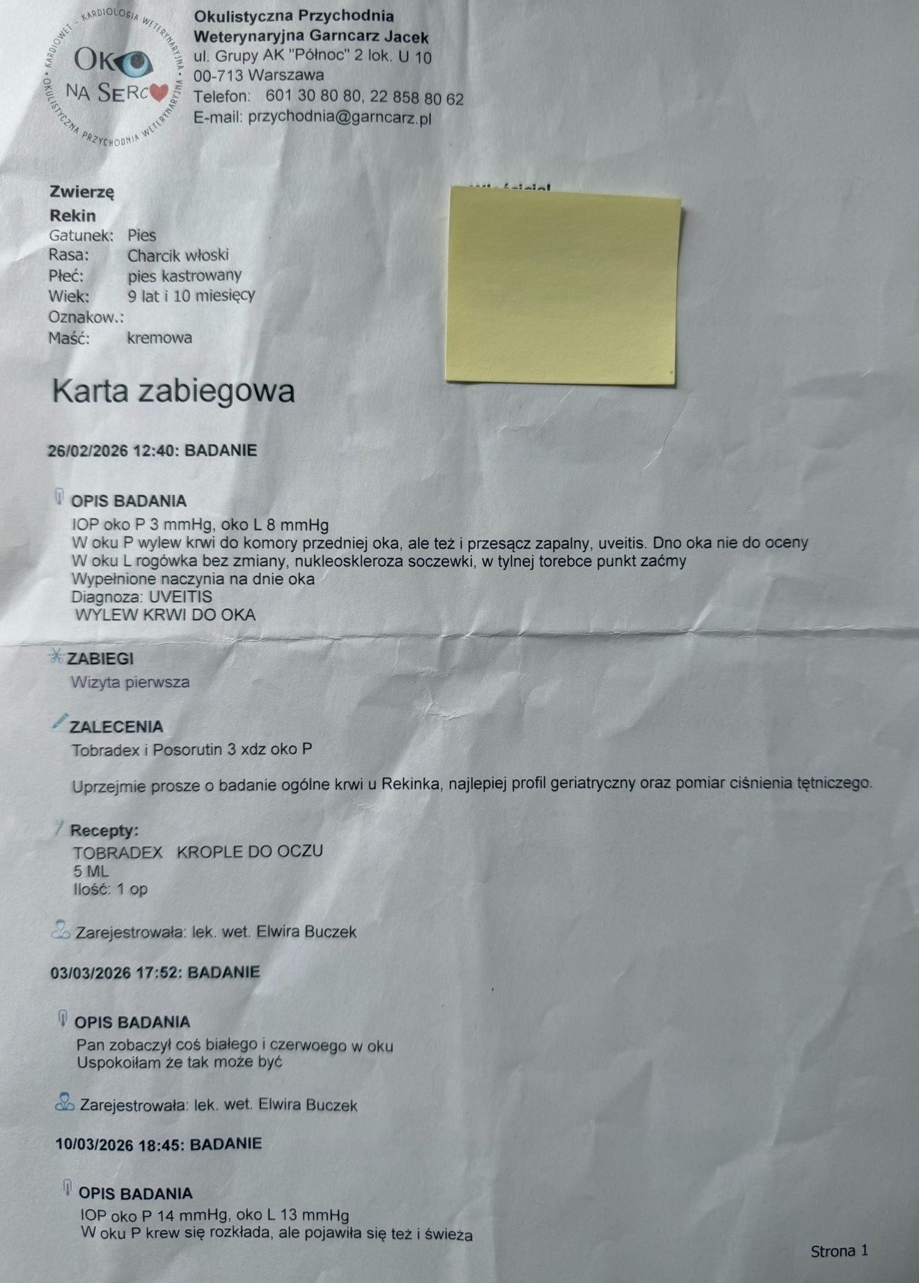 pCwhWuLrx9H1aXNA.jpg