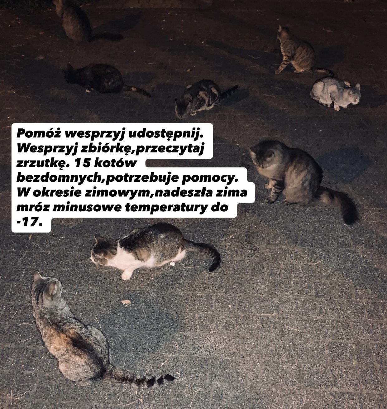 HHoXsIUqyarVM4og.jpg