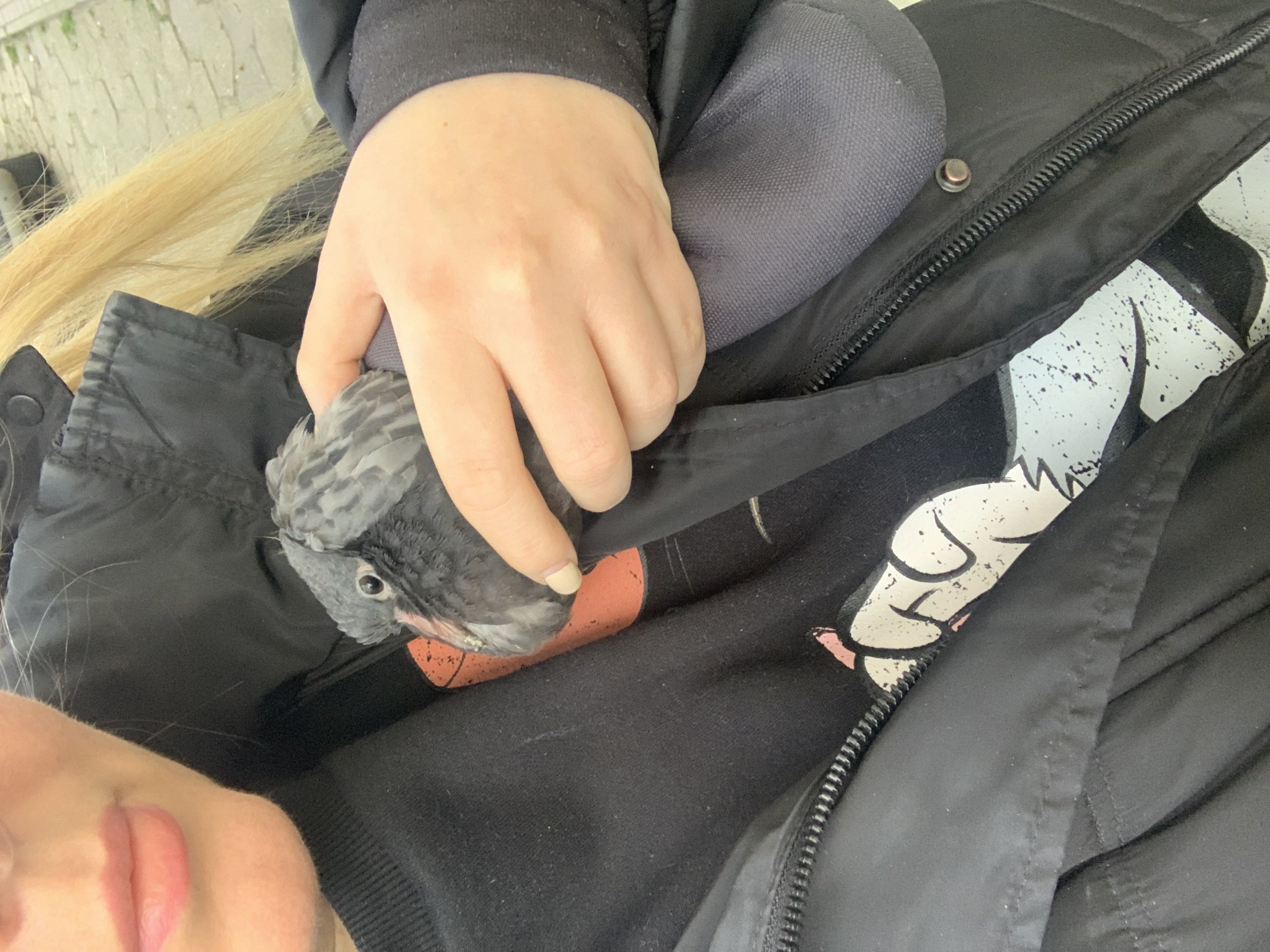 XKFnfWNF5QC0UFa4.jpg