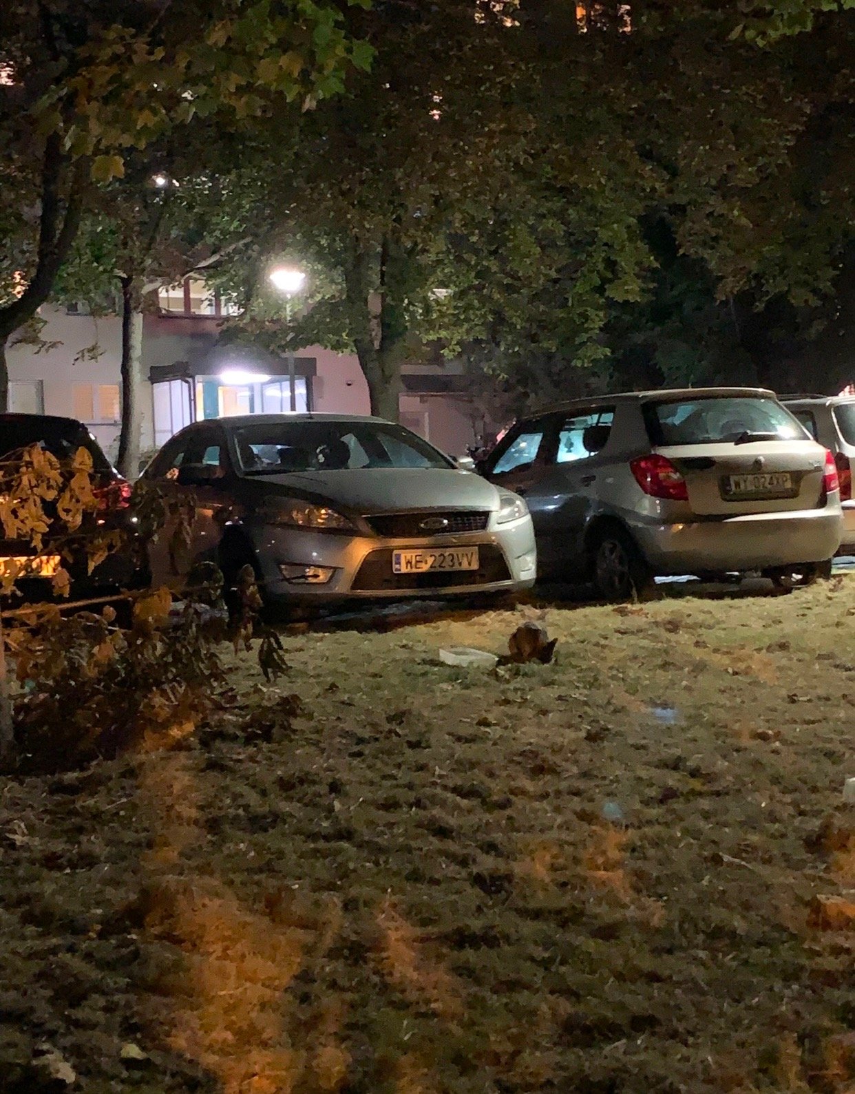 yizIO8y5LJVbUnPt.jpg